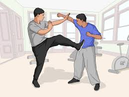 Image result for kung fu