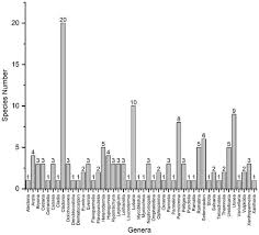 Attēlu rezultāti vaicājumam “Cetrelia sp.”