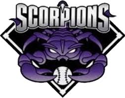 Image result for South Shore Cricket & Squash Club(Inc Scorpions Amateur Rugby League Club)