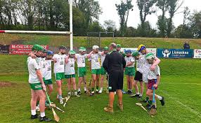 Image result for Lisnaskea Emmetts Gfc