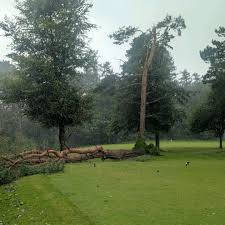 Image result for Cardross Bowling Club