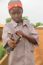 Attēlu rezultāti vaicājumam “Fuligo licentii young”