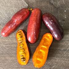 Attēlu rezultāti vaicājumam “Silene otites fruit”