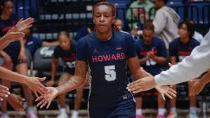 Image result for Hinckley & Bosworth Lady Hoops Basketball Club