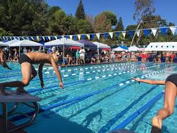 Image result for Stocksbridge Pentaqua Swimming Club