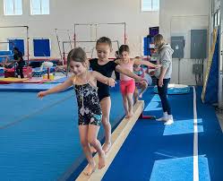 Image result for Elite Recreational Gymnastics Club