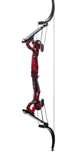 Image result for ArcheryDuns