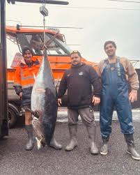 Image result for Fylde Boat Angling Club