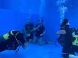 Image result for Aquanauts Dive Centre Sunderland