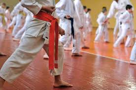 Image result for TRINITY KARATE ACADEMY