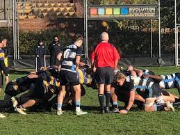Image result for Weybridge Vandals Rugby Club