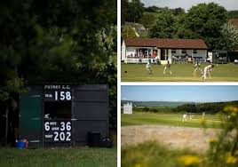 Image result for Peper Harow Cricket Club
