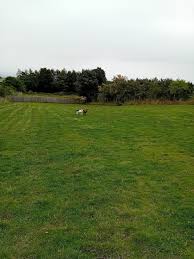 Image result for Stirling County Cricket Club