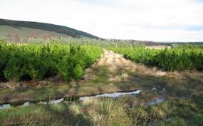 Image result for North Kessock Bowling Club