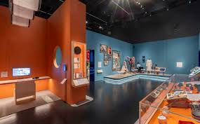 Image result for Disability Challengers