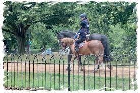 Image result for Old Park Riding Stables