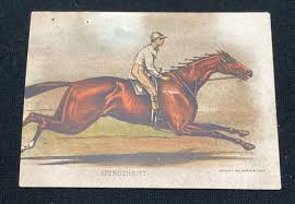 Image result for Winchester Riding Club