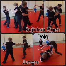Image result for Bujinkan Lincon Dojo