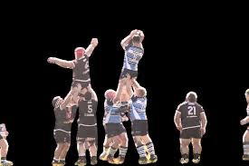 Image result for Newbury Rugby Football Club