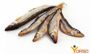 Image result for Osmerus eperlanus