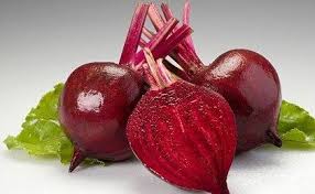 Image result for Beta vulgaris