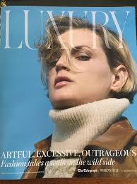 Image result for Guinevere van Seenus