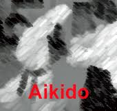 Image result for White Oak Aikido Whitton