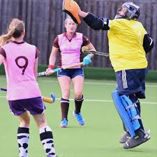 Image result for Tulse Hill and Dulwich Hockey Club