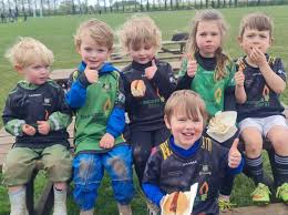 Image result for WOODRUSH RFC MINI and JUNIOR ~ & Senior