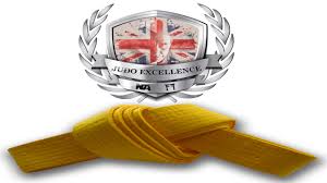Image result for Judo Excellence