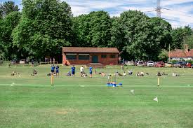 Image result for Ballinger Waggoners Cricket Club