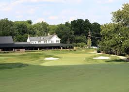 Image result for Lingfield Cricket Club