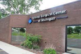 Image result for Flint Asc