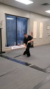Image result for Windsor WingTsun Kung fu