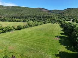 Image result for Rostrevor Hurling Club
