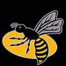 Image result for Wasps Football Club