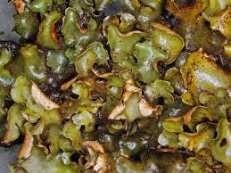 Attēlu rezultāti vaicājumam “Dermatocarpon luridum”