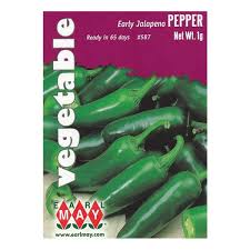 Afbeeldingsresultaat voor jalapeno early hot pepper