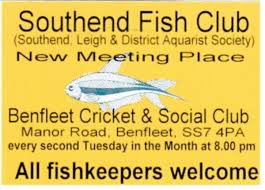 Image result for Benfleet Cricket & Social Club