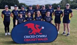 Image result for Bronwydd Cricket Club