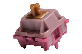 Image result for mountain top seashell