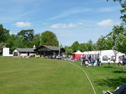 Image result for Halstead Colts Cricket Club