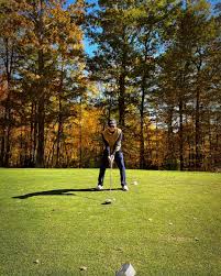 Image result for Fairways Lodge & Leisure Club