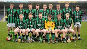 Image result for Causeway Hurling Club