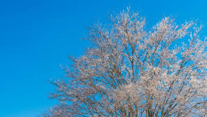 Image result for мороз