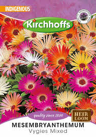 Image result for Mesembryanthemum criniflorum