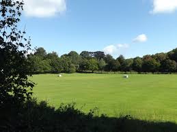 Image result for South Weald Cricket Club