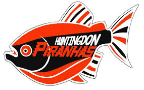 Image result for Abertillery Piranhas Swimming Club