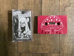 Attēlu rezultāti vaicājumam “Diderma montanum var. album spores”