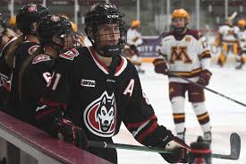 Image result for Ice Hockey International